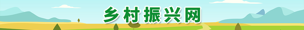 海南鄉村振興網